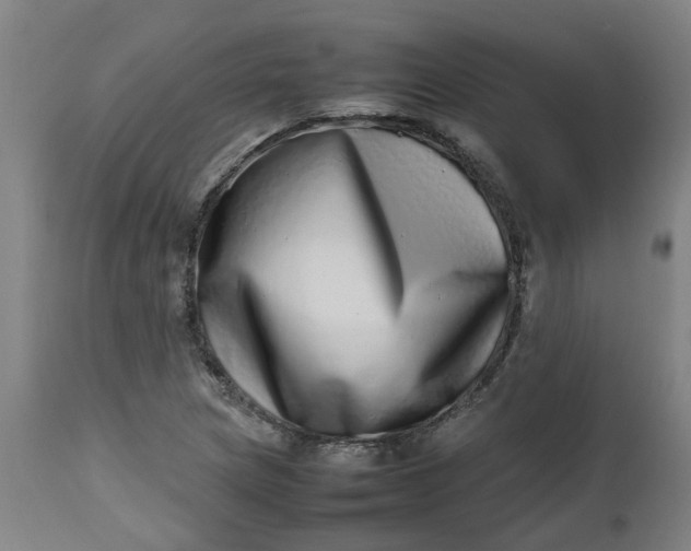 X0000112491217200909071213