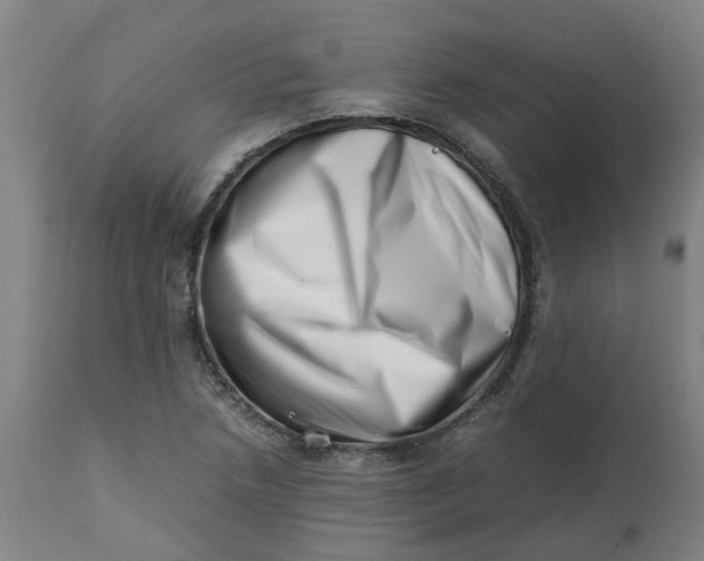 X0000112491218200909071213