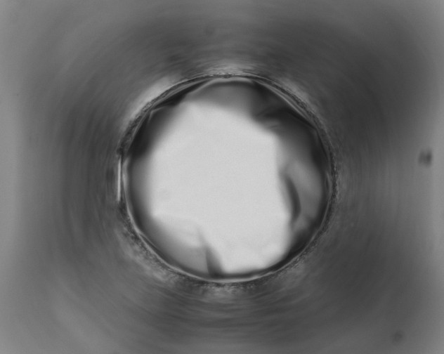 X0000112491219200909071213