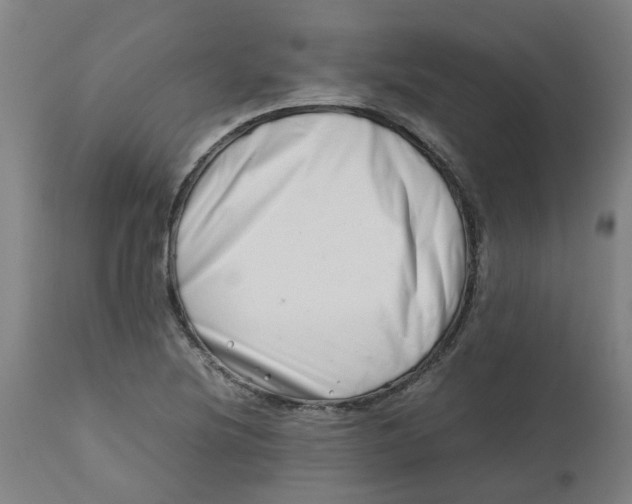 X0000112491220200909071213