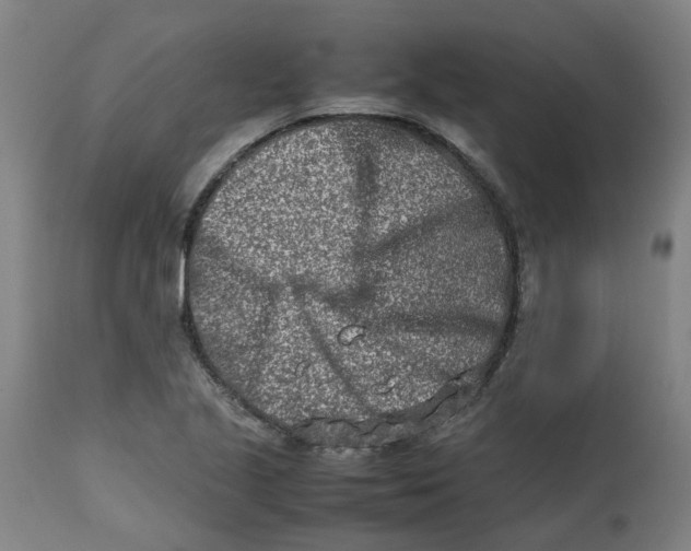 X0000112491221200909071213