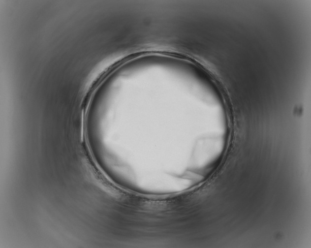 X0000112491223200909071213