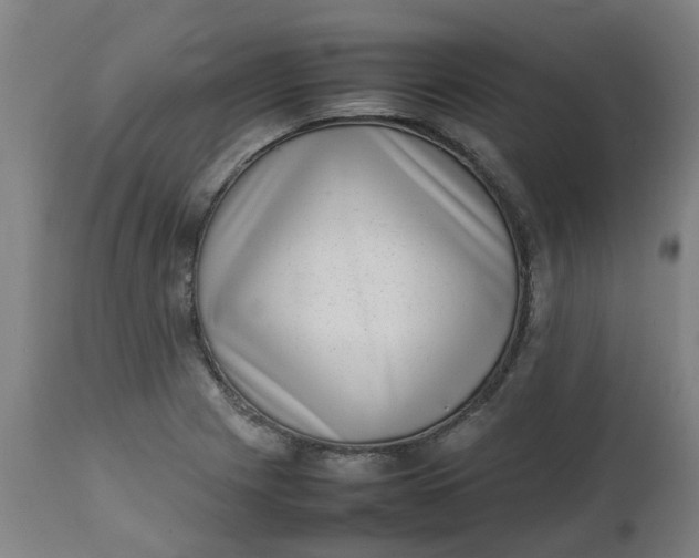 X0000112491225200909071213