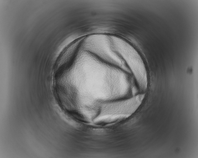 X0000112491227200909071213