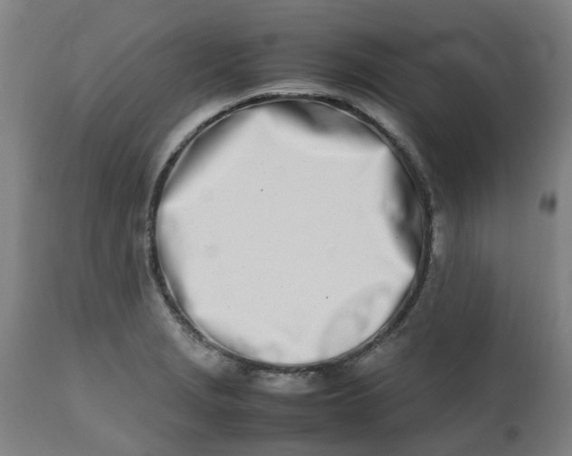 X0000112491229200909071214