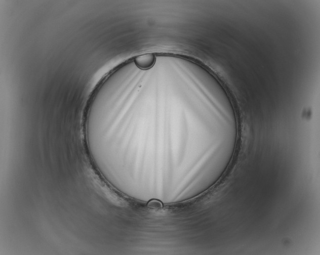 X0000112491230200909071214