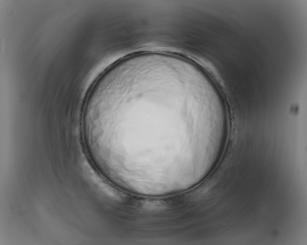 X0000112491231200909071214