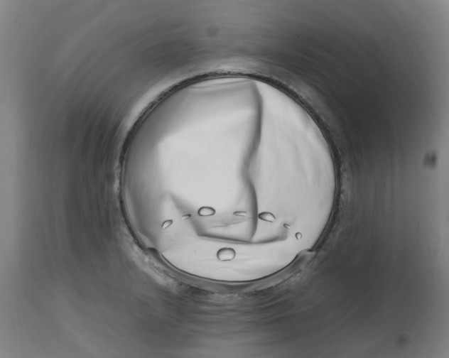 X0000112491232200909071214