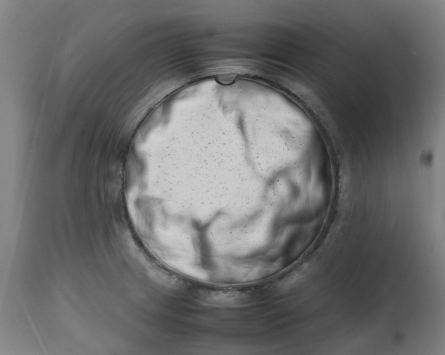 X0000112491233200909071214