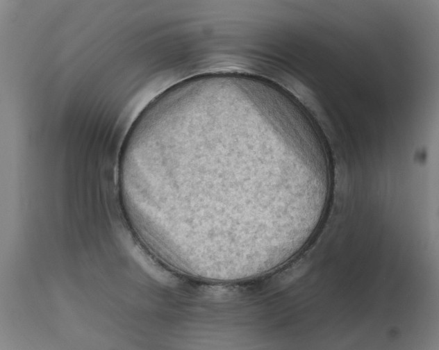 X0000112491234200909071214