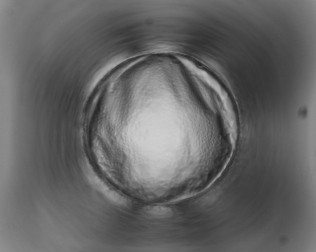 X0000112491235200909071214