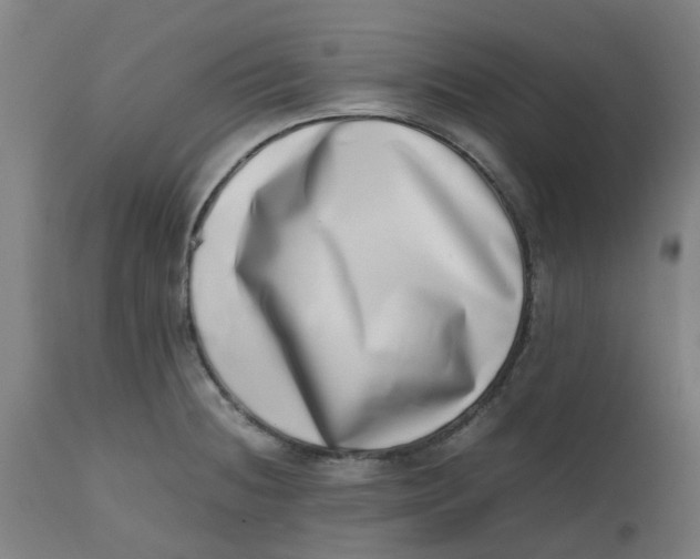 X0000112491236200909071214