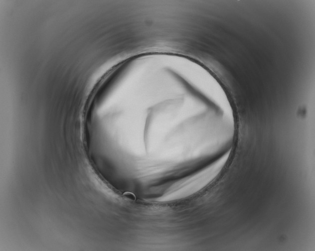 X0000112491238200909071214