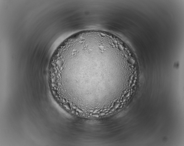 X0000112491239200909071214