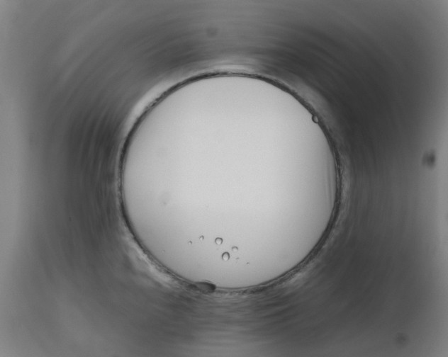 X0000112491240200909071214