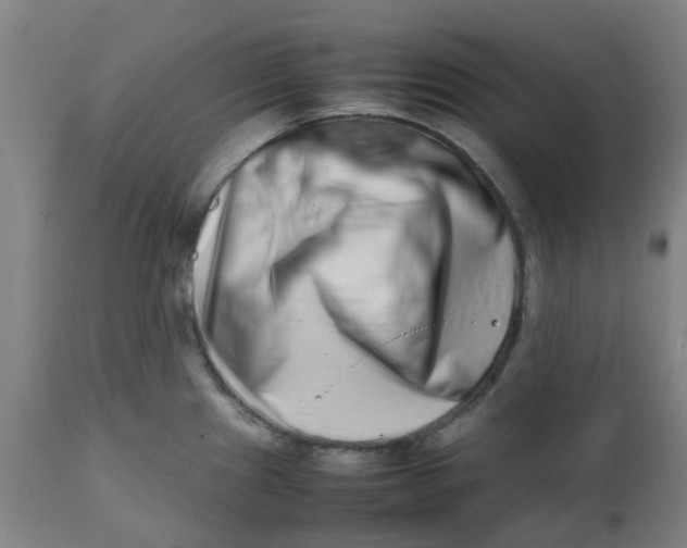 X0000112491241200909071214