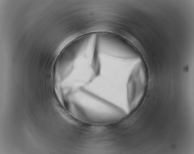 X0000112491242200909071214