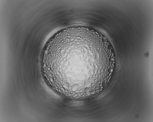 X0000112491243200909071214