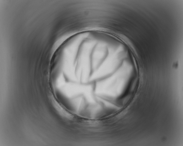 X0000112491244200909071214