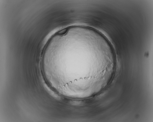 X0000112491245200909071214