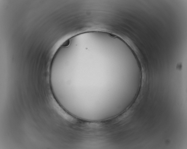 X0000112491246200909071214