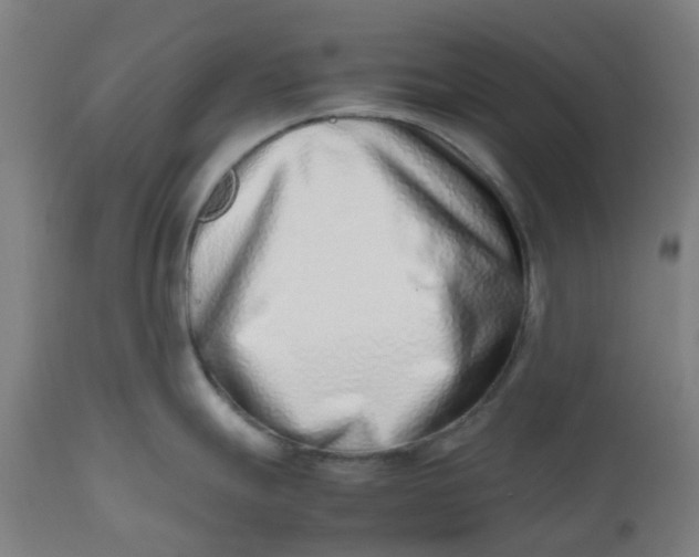 X0000112491247200909071214