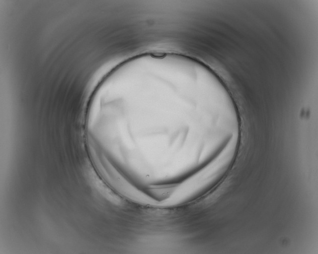 X0000112491248200909071214