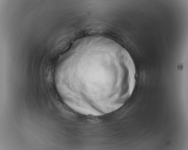 X0000112491250200909071213