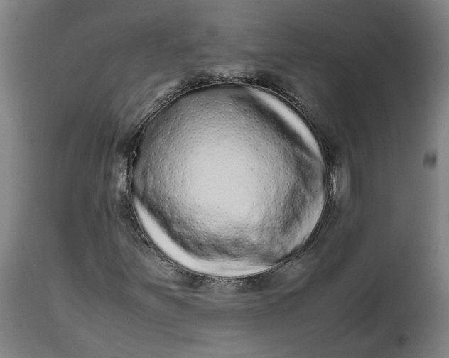 X0000112491251200909071213