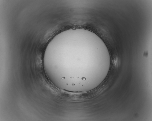 X0000112491252200909071213