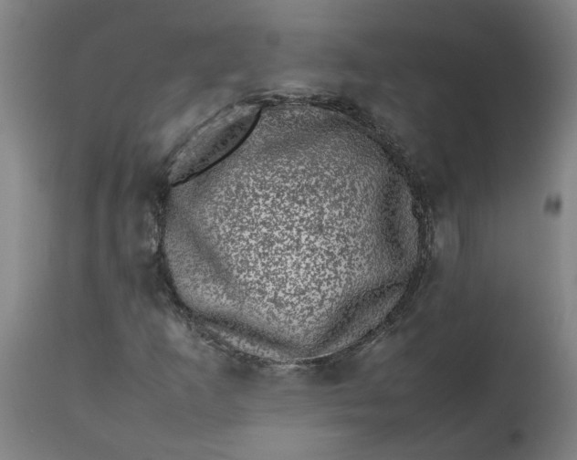 X0000112491253200909071213