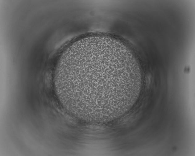 X0000112491254200909071213