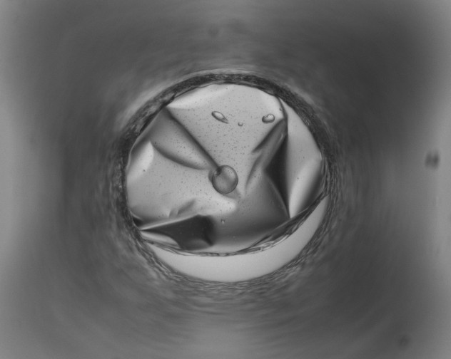 X0000112491255200909071213