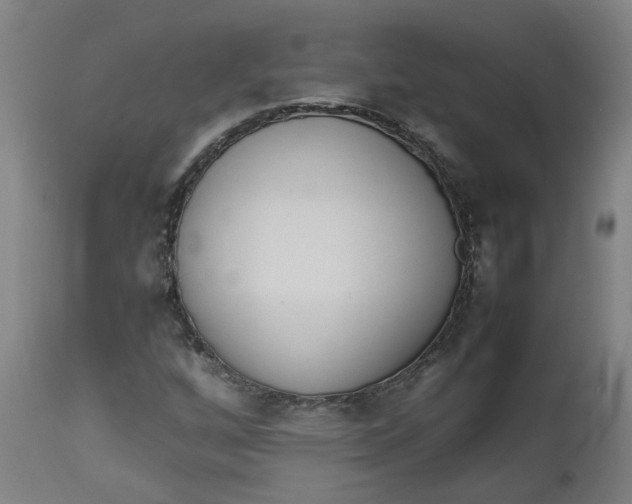 X0000112491256200909071213