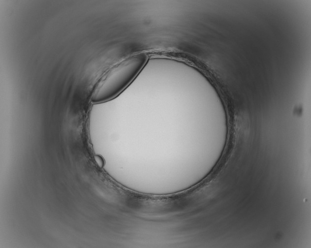 X0000112491257200909071213