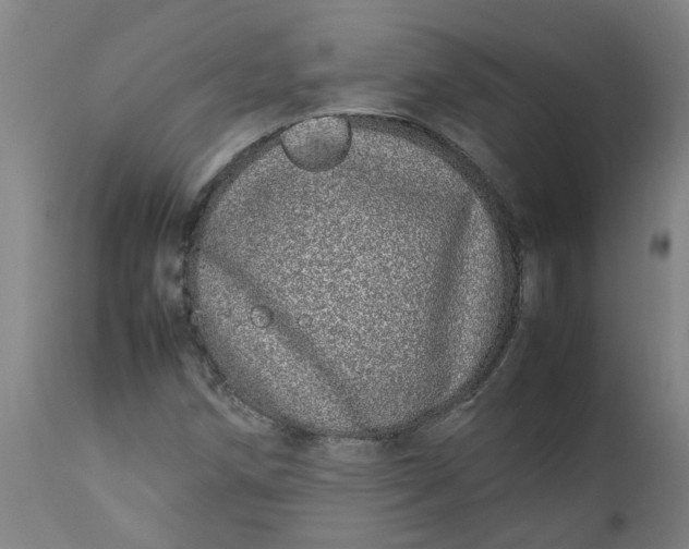 X0000112491258200909071213