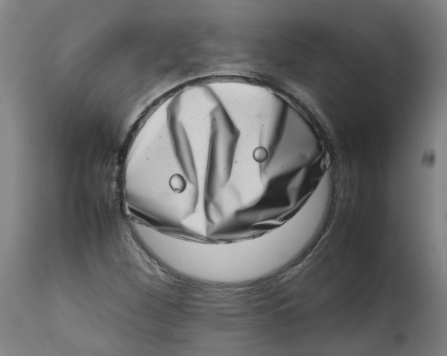 X0000112491260200909071213