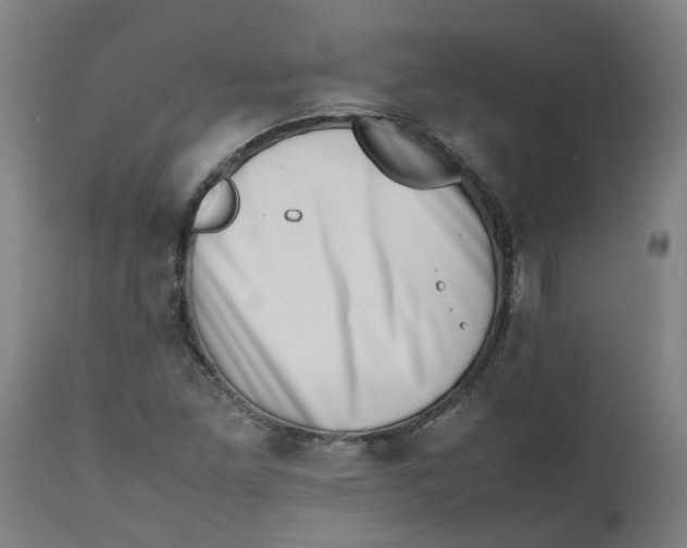 X0000112491261200909071213