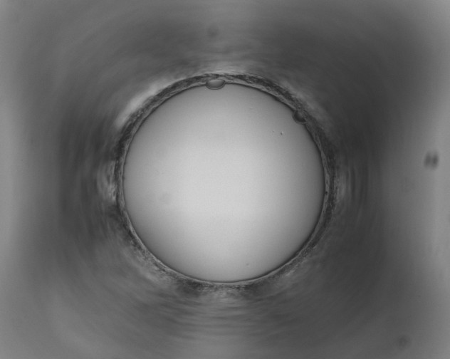 X0000112491262200909071213