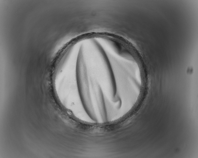 X0000112491263200909071213