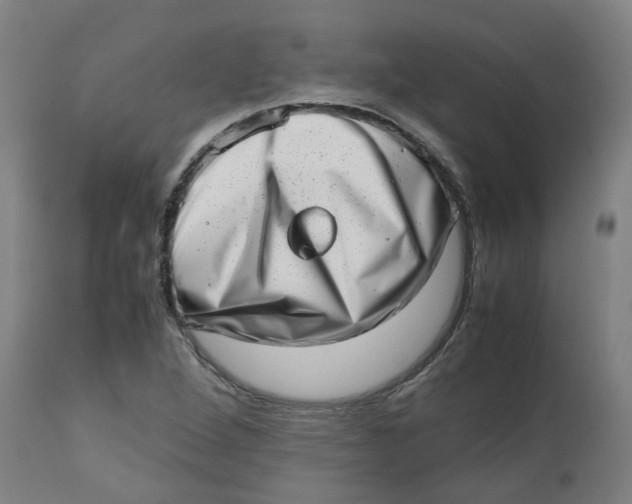 X0000112491264200909071213