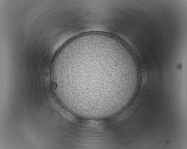 X0000112491266200909071213