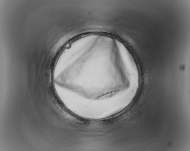 X0000112491267200909071213