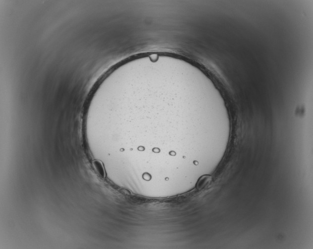 X0000112491268200909071213