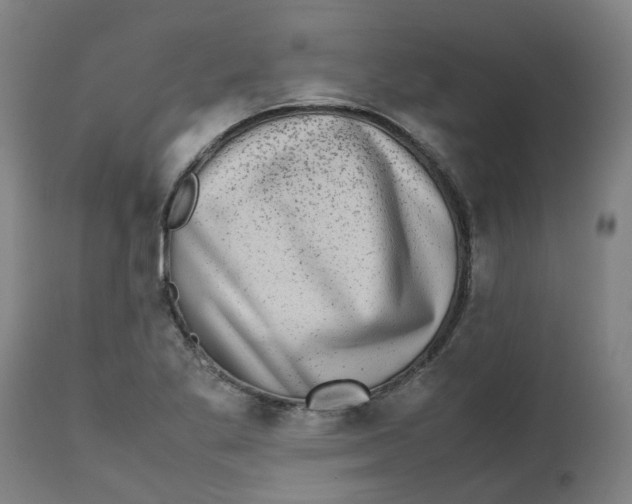 X0000112491269200909071213