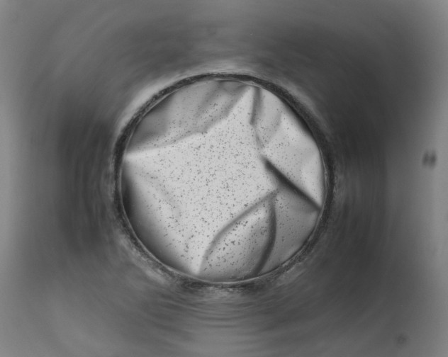 X0000112491270200909071213