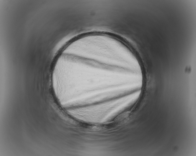 X0000112491271200909071213