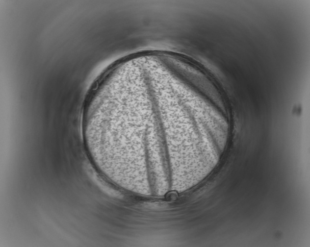 X0000112491272200909071213