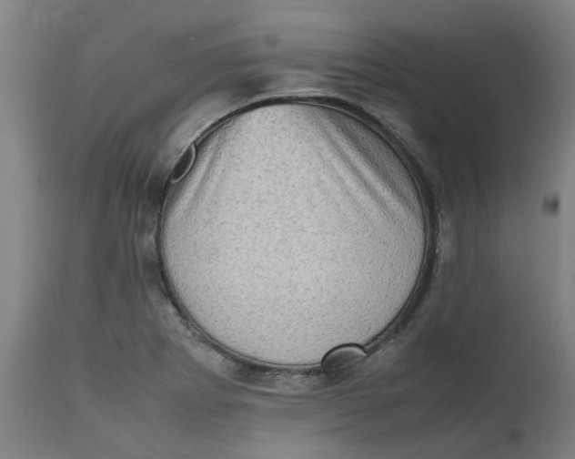 X0000112491273200909071213