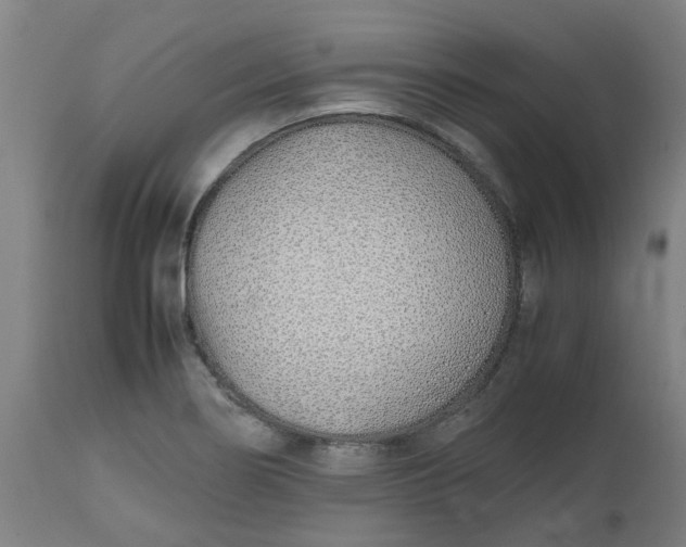 X0000112491274200909071213